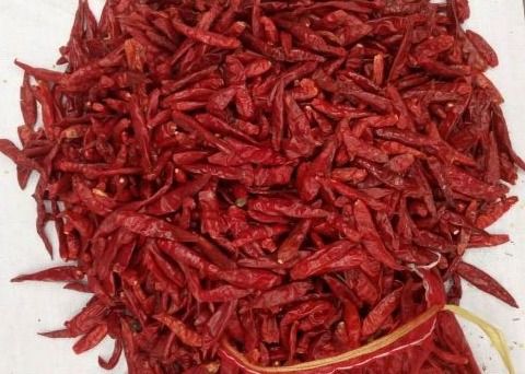 NO Pigment Baharatlı Kurutulmuş Chiles Tamales için Buharla Sterilize Chili Pods