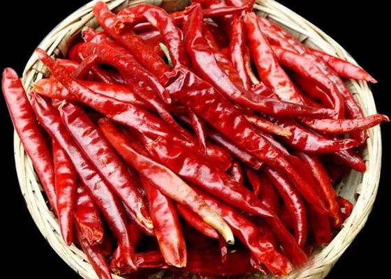 Düşük Nemli Kurutulmuş Kırmızı Kayen Biberi % 12 Max % 1 Yüksek Saflık