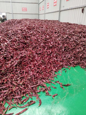 Sınıf A Kurutulmuş Guajillo Çili Toplu / Yaprak Kirlilik % 0.3 Maksimum Sınıf 10-15cm