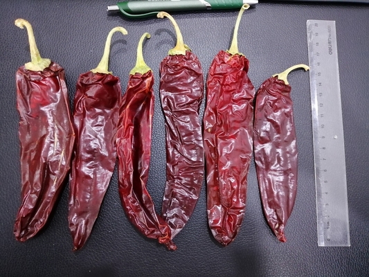 1'li A sınıfı tüm paprika kırmızı biber