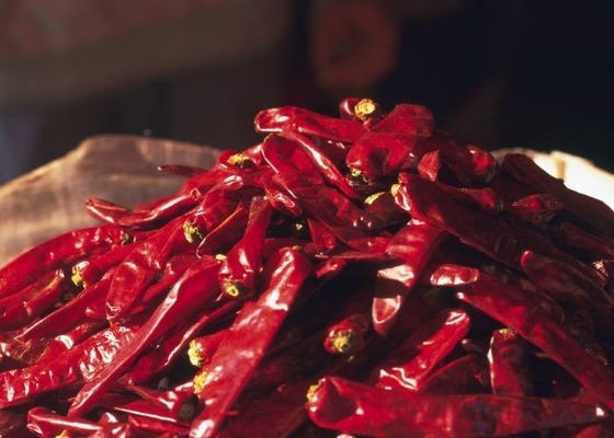 Sambal 8,000 SHU Yapımı İçin Doğa Red Hot Yidu Chili