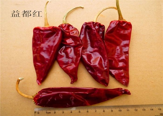 Organik Yidu Biber Kırmızı Biber Beijinghong Jinta Biber 10 Cm %12 Nem
