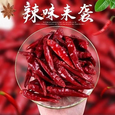 Yemek Malzemesi İçin Tianjin Tien Tsin Kurutulmuş Kırmızı Biber