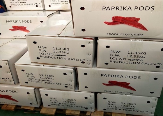 Kuru kırmızı biber fabrikası, Yidu çiliyi saplı / sapsız olarak tedarik etti.