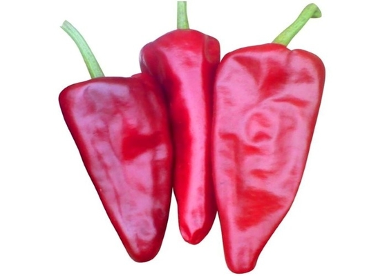 100 Kcal/100g Yidu Red Chili Kuru Ve Soğuk Yerde Saklama Yöntemi A Vitamini