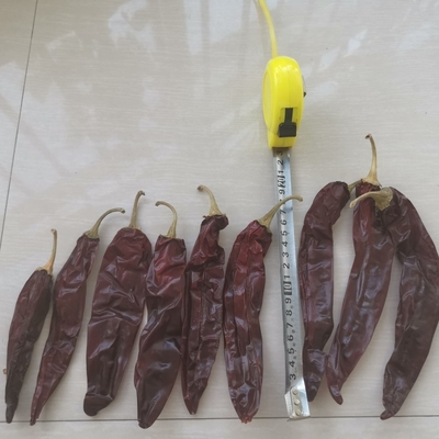 Toplu / Yaprak 10-15 cm Uzunluklu Güvaylo Çili Yiyecekleri için Kurutulmuş