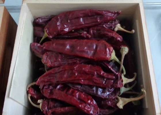 10-15 cm Kuru Guajillo Çili A Derecesi Kırmızı Paprika Tomurcukları