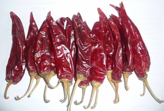 10-15 cm Kuru Guajillo Çili A Derecesi Kırmızı Paprika Tomurcukları