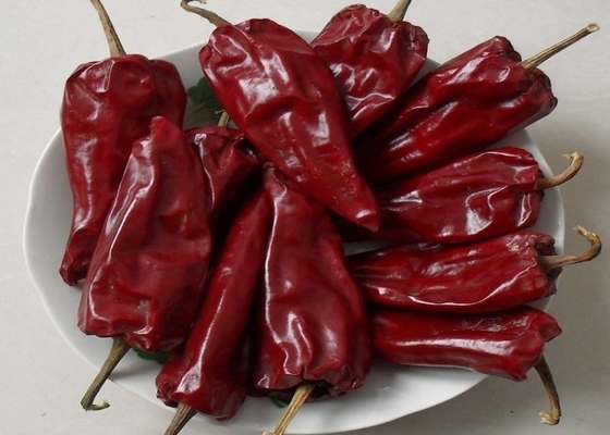 HACCP 200g Yidu Chili Malzemeleri 7 - 15cm Acı çili tadı