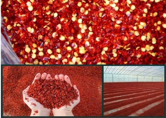 Tianjin Yidu Jinta Kırmızı Ezilmiş Biber Pul Biber Baharatlı 40,000 SHU 5-8 Mesh