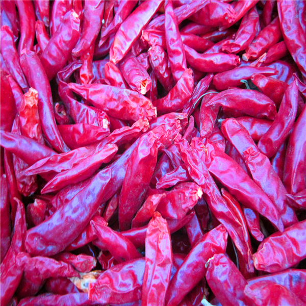 4-7cm Cayenne Kurutulmuş Kırmızı Biberler Depolama Şartları Soğuk ve Kuru Yer