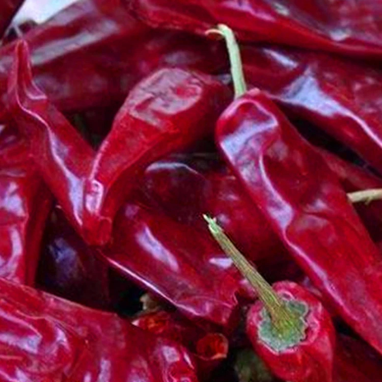 Hava kurutulmuş kurutulmuş kırmızı biberler baharatlı sıcak kazan ve Sichuan mutfağı için