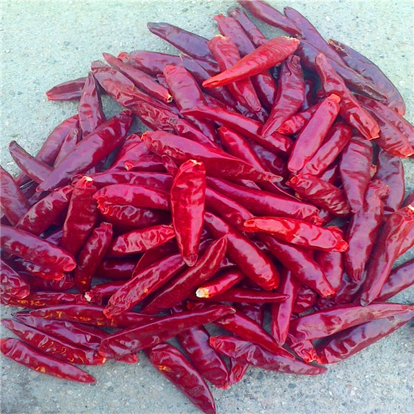 C Vitamini İçin Tianjin Kırmızı Çili, Oda Sıcaklığında Tianjin Çili Tarlalarında Büyütülür