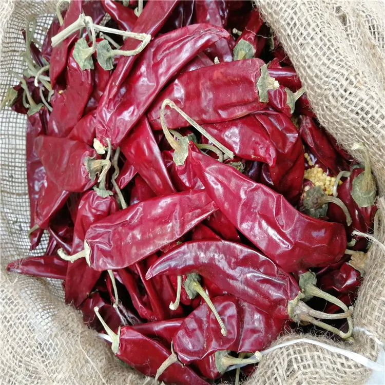 0.1% Maksimum Kirlilik Kırmızı Guajillo Yaprakları Güçlü ve Acı Çili Aromalı Kuru Biberler