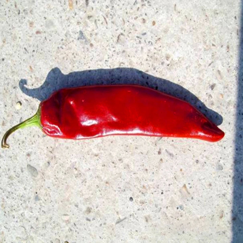 Canlı Kırmızı Kuru Paprikra Guajillo Çili Podları 8%-12% Nem ile güçlü acı bir lezzet sunar