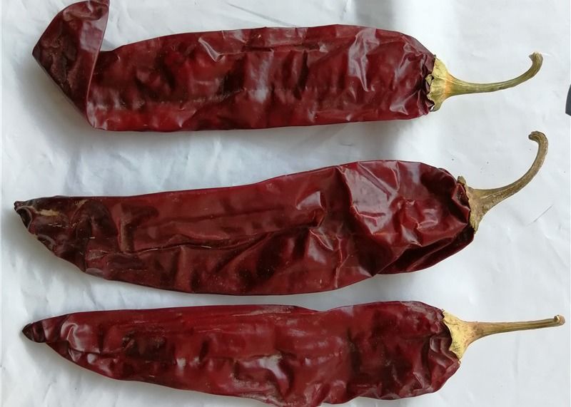 1 Yıllık raf ömrü Tatlı Paprika Biber Kurutulmuş Kırmızı Çili Katkı maddesi Yüksek Kaliteli Gıda Bileşeni